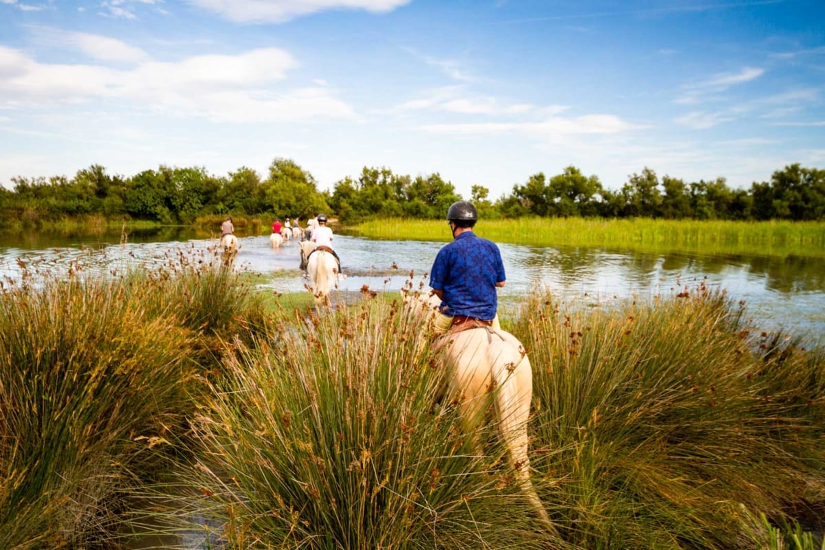 Camargue a cavallo